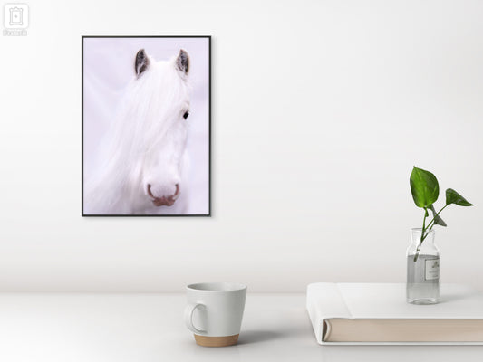 Solace Print